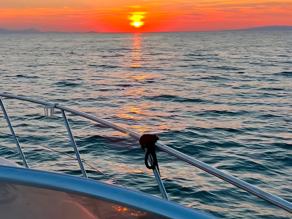 DailyCharter_gallery